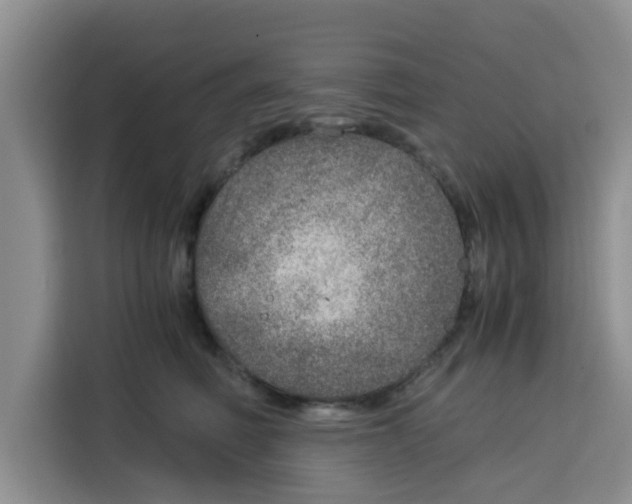 X0000115150614200911241530