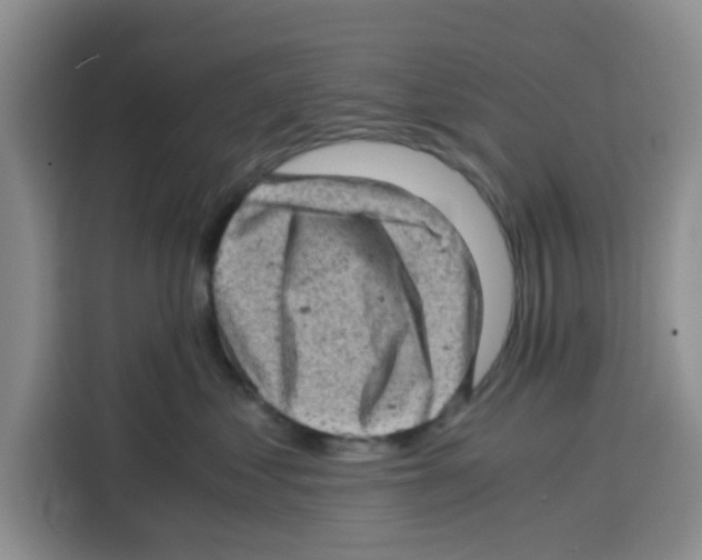 X0000115150621200911241530