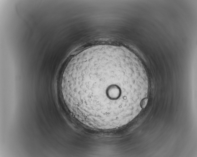 X0000115150626200911241529