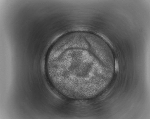 X0000115150627200911241529