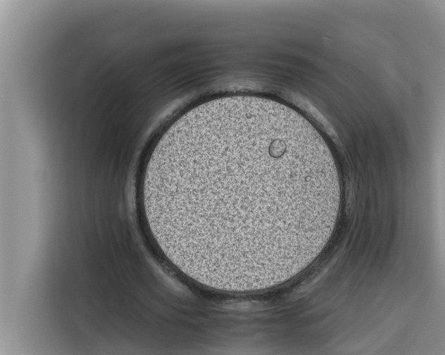 X0000115150629200911241529