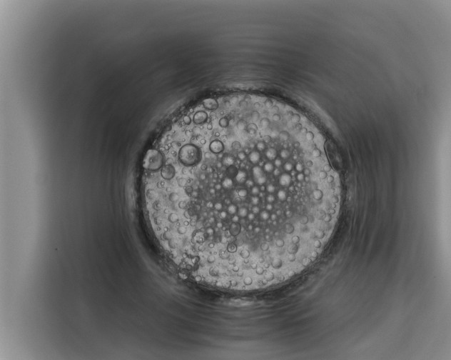 X0000115150635200911241529