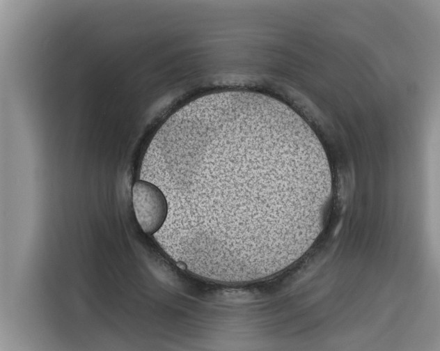 X0000115150636200911241529