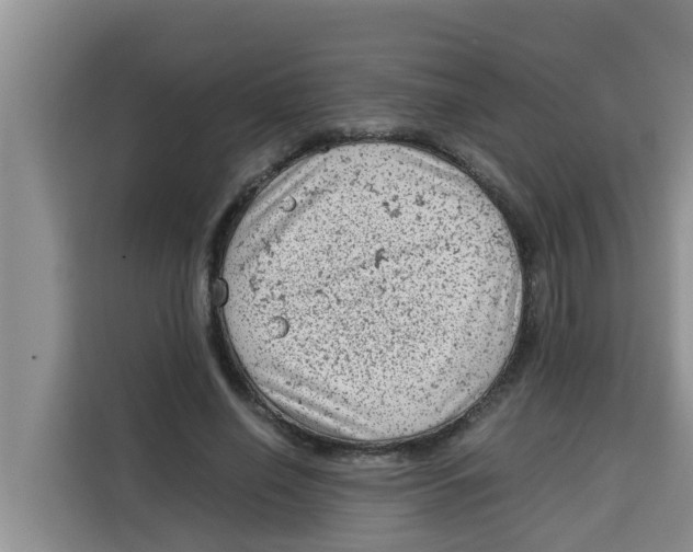 X0000115150638200911241529