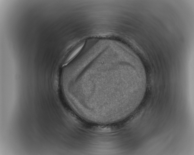 X0000115150640200911241529