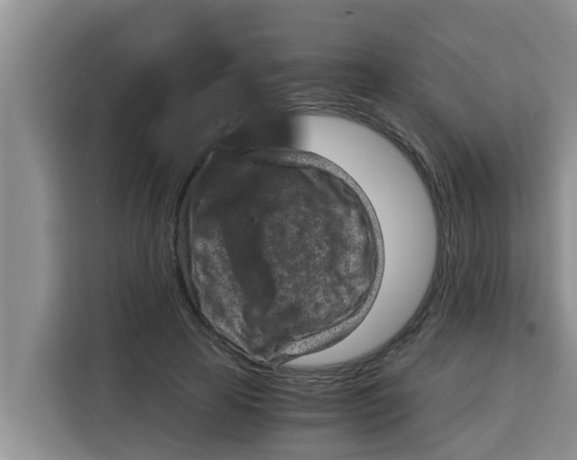 X0000115150641200911241529