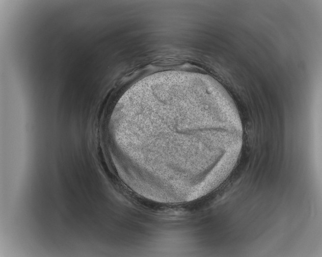 X0000115150642200911241529