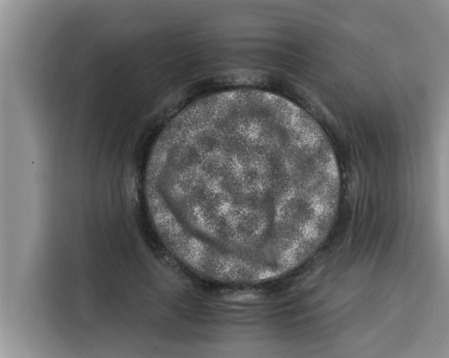 X0000115150643200911241529