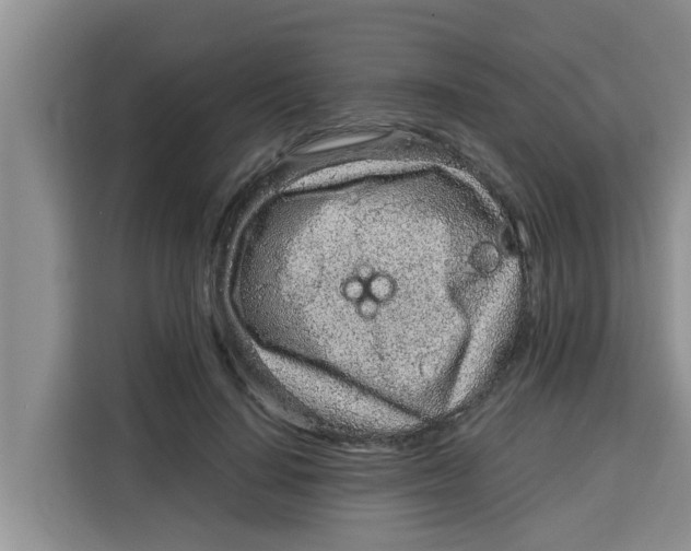 X0000115150644200911241529