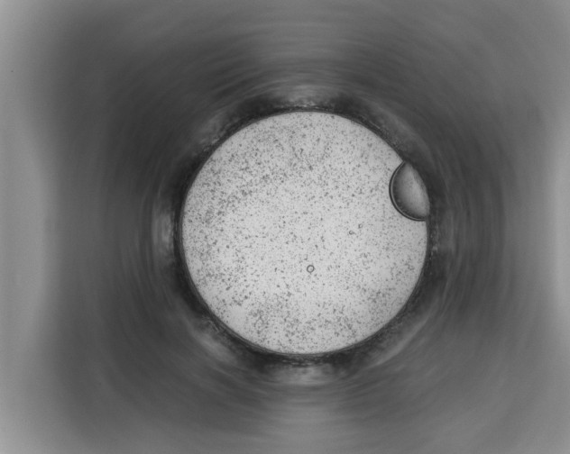 X0000115150646200911241530