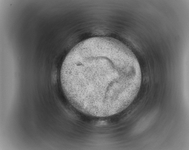 X0000115150647200911241530