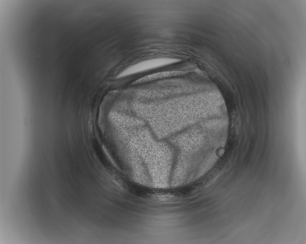 X0000115150650200911241530