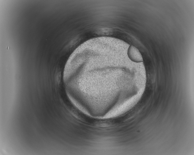 X0000115150652200911241530