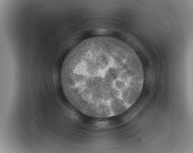 X0000115150653200911241530