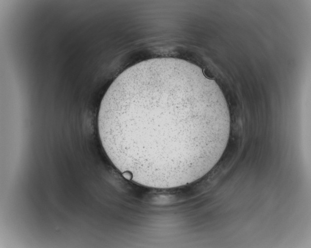 X0000115150658200911241530