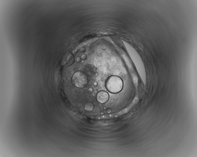 X0000115150659200911241530