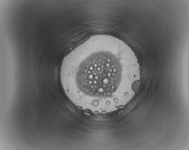 X0000115150660200911241530