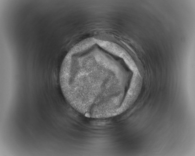 X0000115150661200911241530