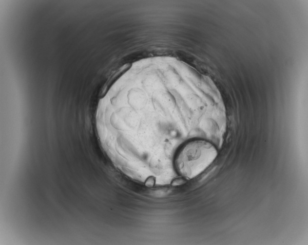 X0000115150662200911241530