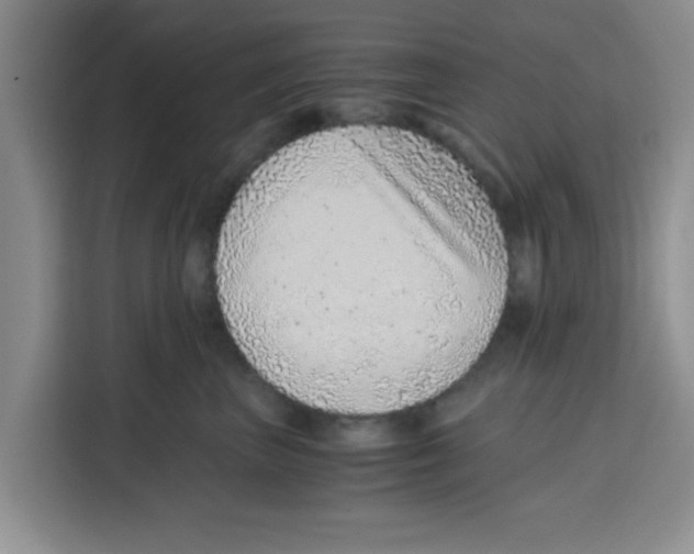 X0000115150667200911241530