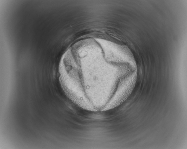 X0000115150668200911241530