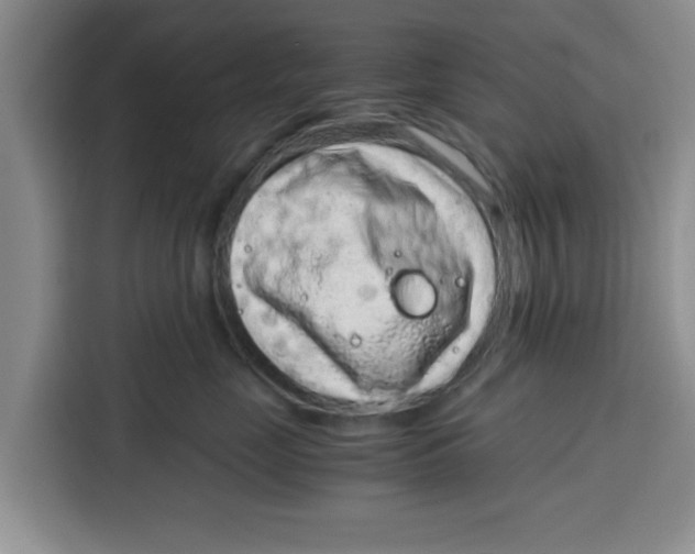 X0000115150669200911241530