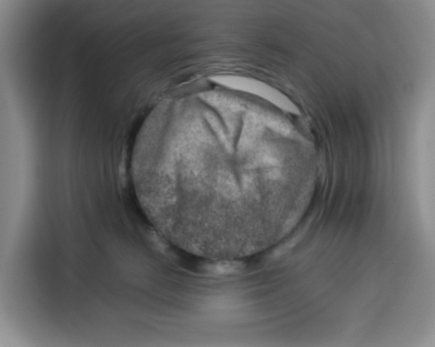 X0000115150670200911241530