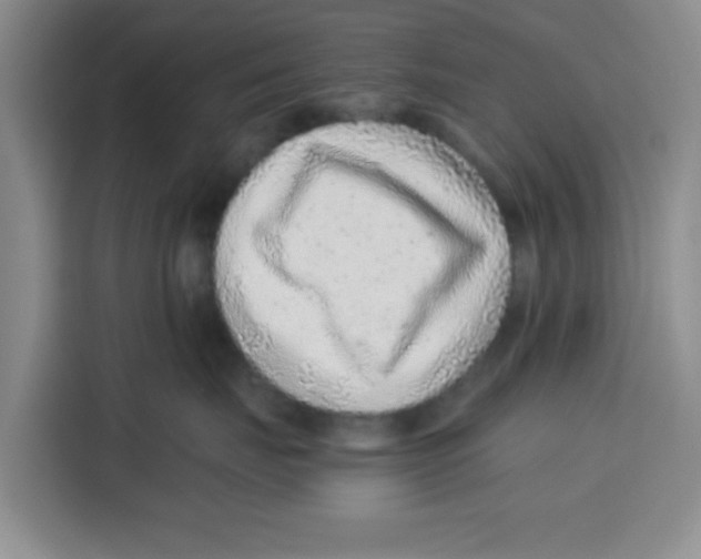 X0000115150671200911241530