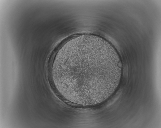 X0000115150673200911241529