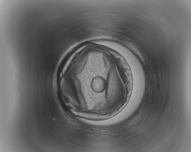 X0000115150676200911241529