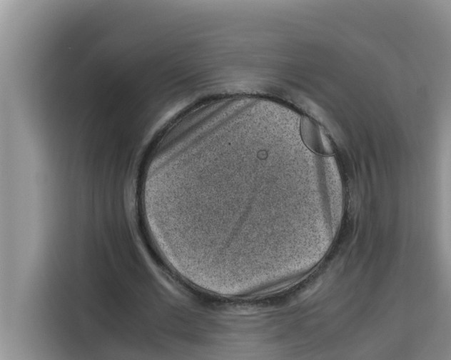 X0000115150677200911241529