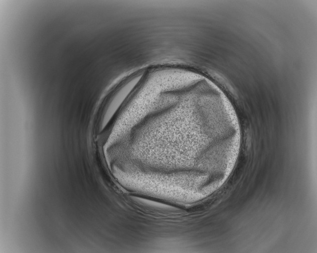 X0000115150680200911241529