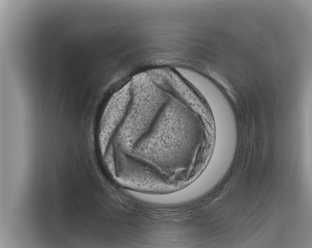 X0000115150681200911241529