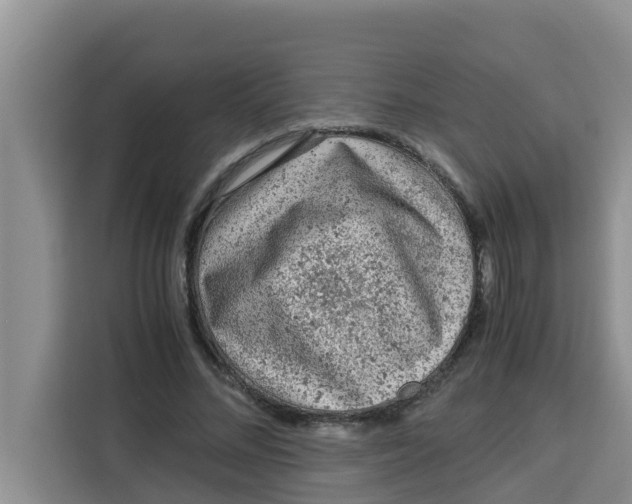 X0000115150684200911241529