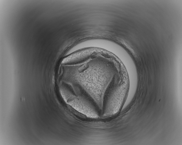 X0000115150685200911241529