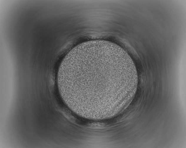 X0000115150691200911241529