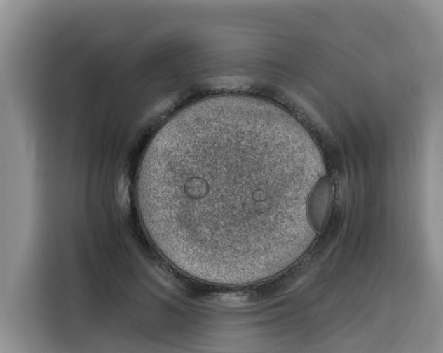 X0000115150692200911241529