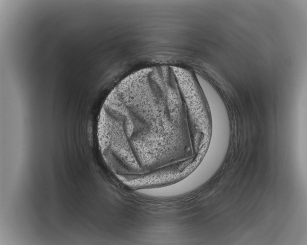 X0000115150696200911241529