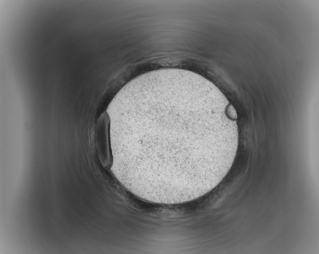 X0000115150697200911241529