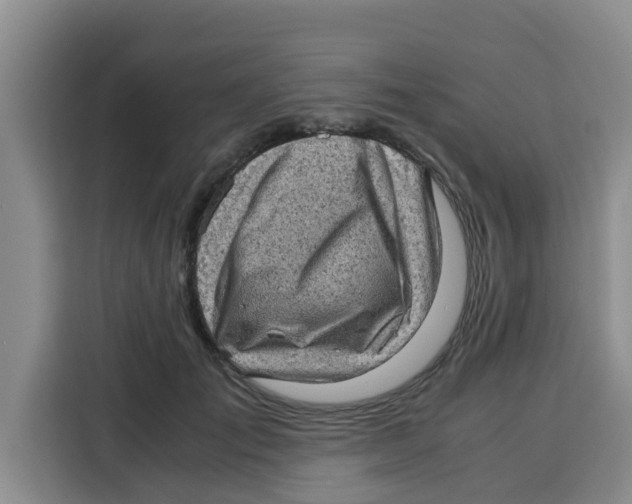 X0000115150701200911241529