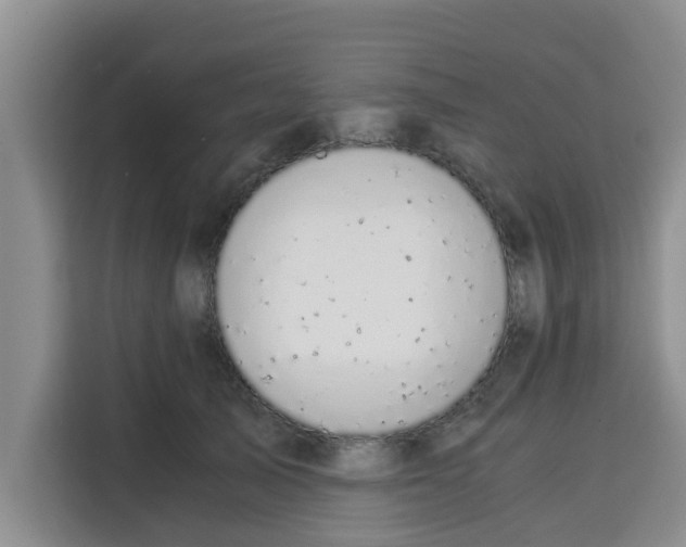 X0000115150705200911241529