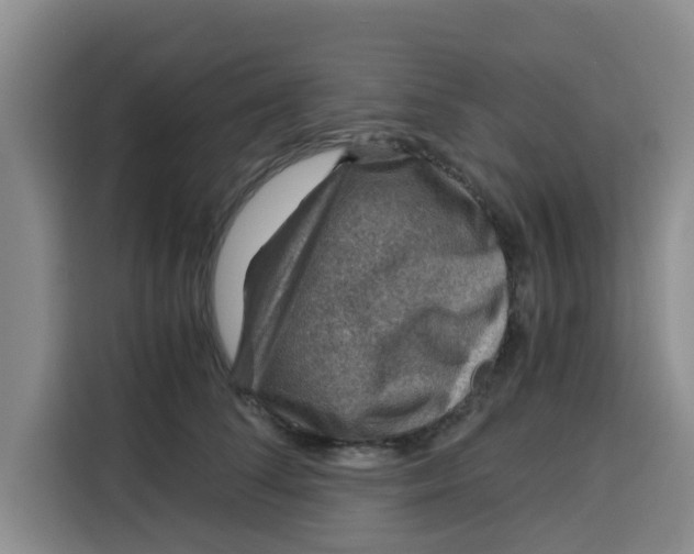 X0000115150708200911241529