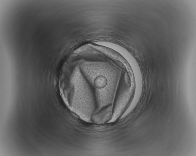 X0000115150709200911241529