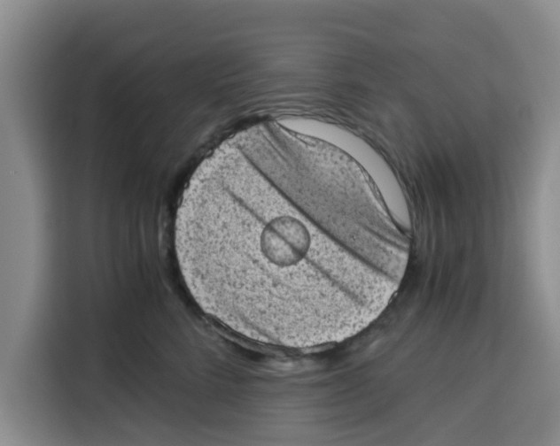 X0000115150712200911241529