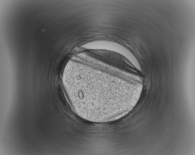 X0000115150713200911241529