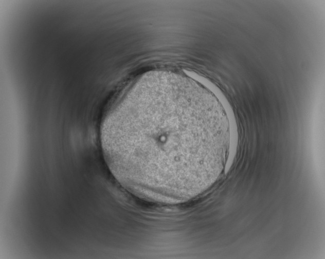 X0000115150715200911241529