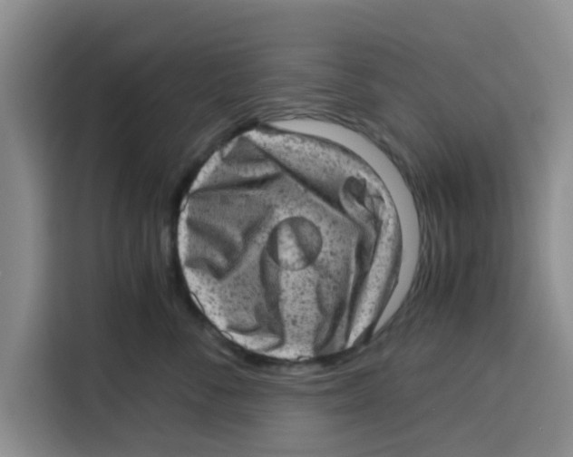 X0000115150716200911241529