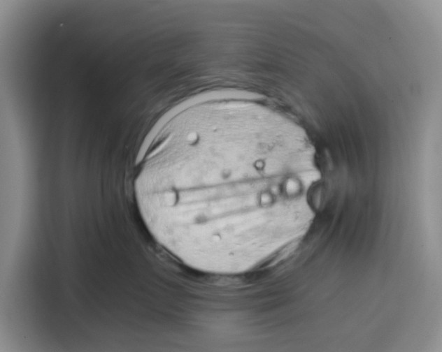 X0000115150719200911241529