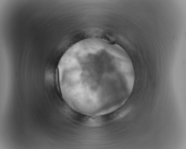 X0000115150720200911241529