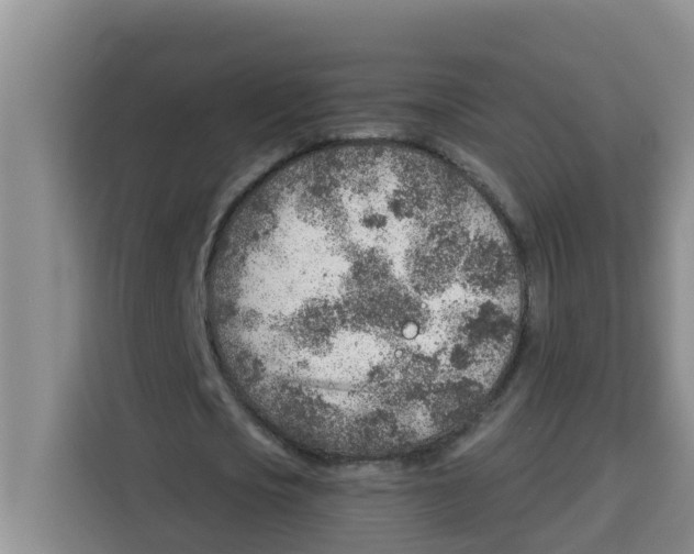 X0000115150721200911241528